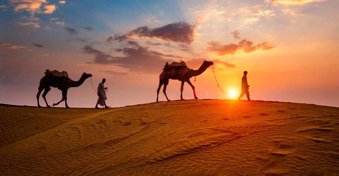 The train reaches Jodhpur on November 29, where you can enjoy the fabulous hues of the ancient city.  Photo: Shutterstock/Dmitry Rukhlenko