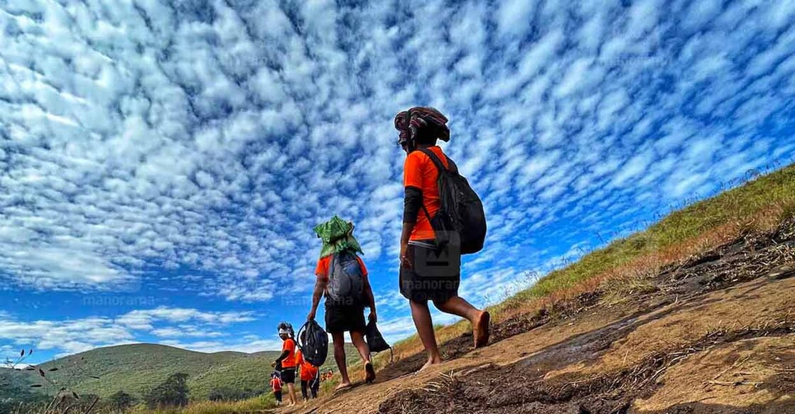 The Sabarimala pilgrimage season begins on November 16 this year. Photo: Manorama