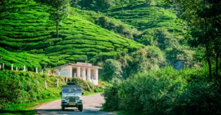 Single-use plastic items banned in 10 Kerala tourist spots including Munnar: Banned goods, tourist info