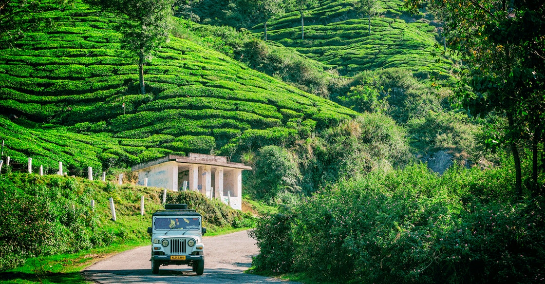 Munnar and Vagamon are two of the spots included in the plastic-ban list. Representative image/iStock/powerofforever