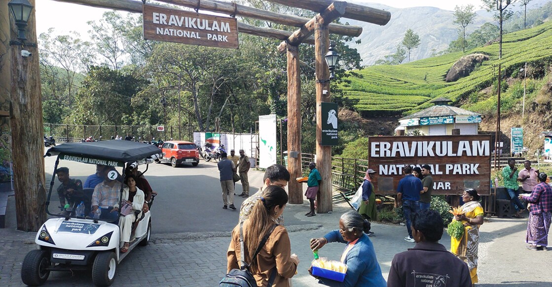 Eravikulam National Park recognised as best in India on its 50th anniversary