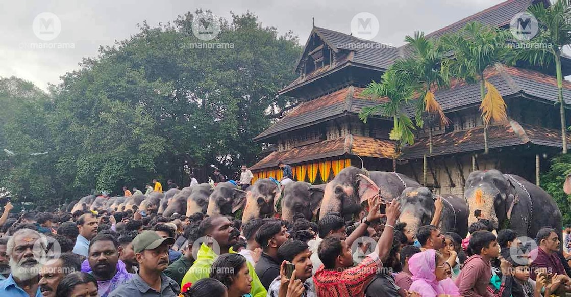 Elephants lined up for anayoottu ceremony. Photo: Josemon Varghese/Manorama