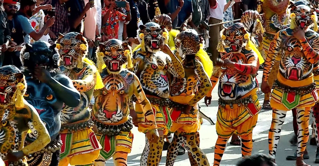 Pulikali is most popular in the Thrissur district of Kerala. Photo: Special Arrangement