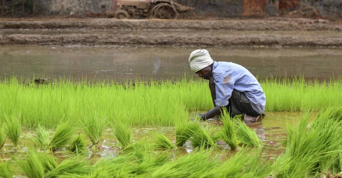 PM-KISAN is one of the world’s largest Direct Benefit Transfer (DBT) schemes. Photo: AFP