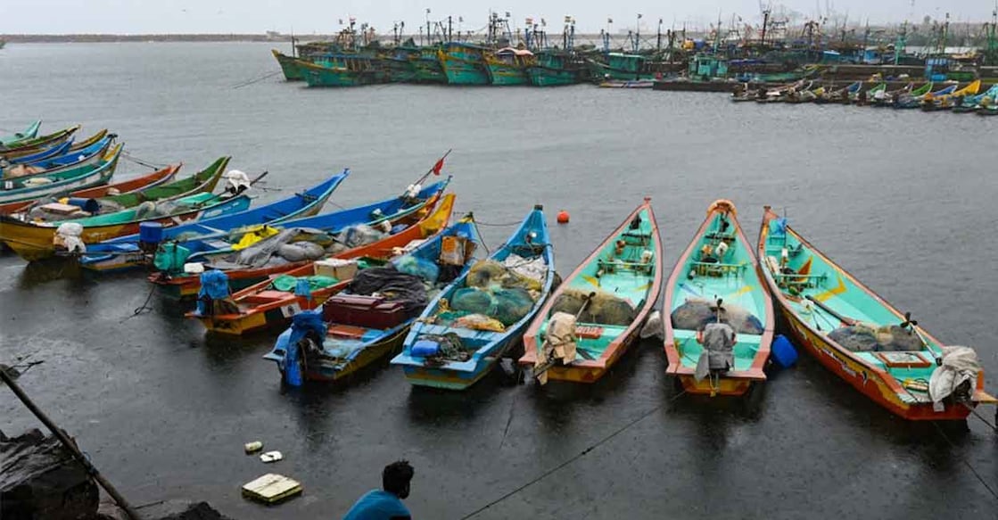 India is the third largest fish producing country in the world. Photo: AFP