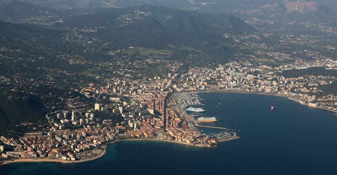 It is estimated that around one million animal and plant species are now threatened with extinction. Representational Photo: AFP