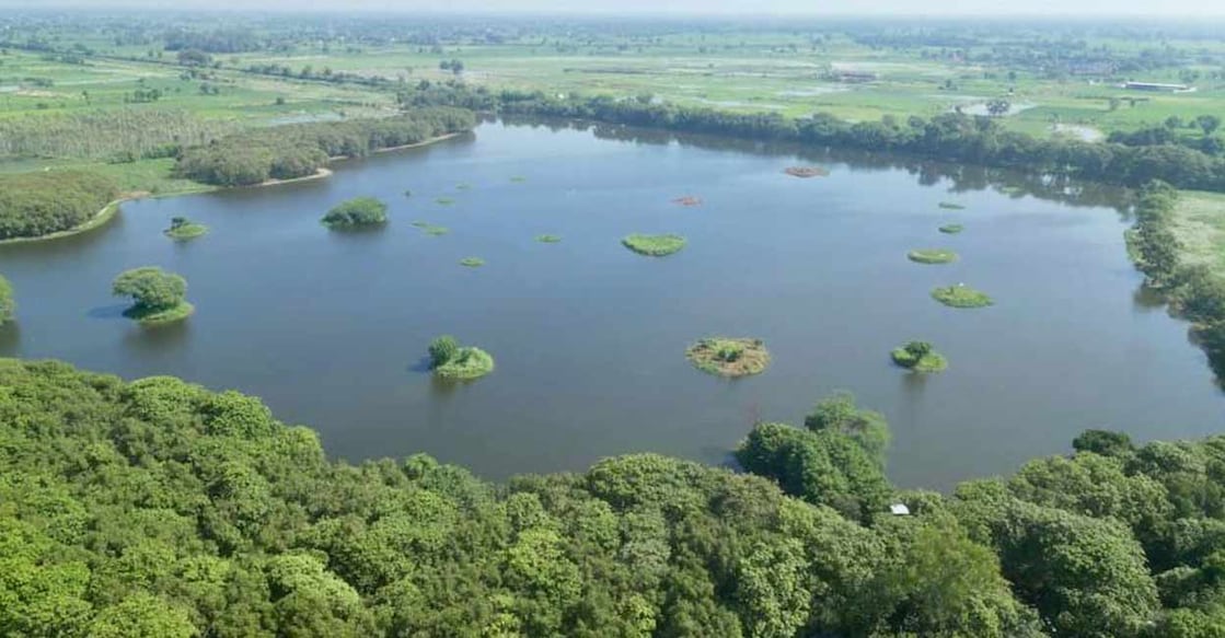 Sheikha Jheel Bird Sanctuary is situated in Koil Tehsil in Aligarh district. Photo: X / @byadavbjp