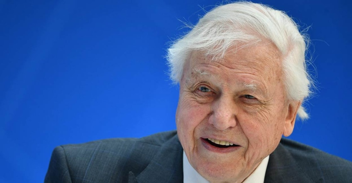 David Attenborough was honoured with the ‘UN Champions of the Earth Lifetime Achievement Award’ in 2022. Photo: AFP