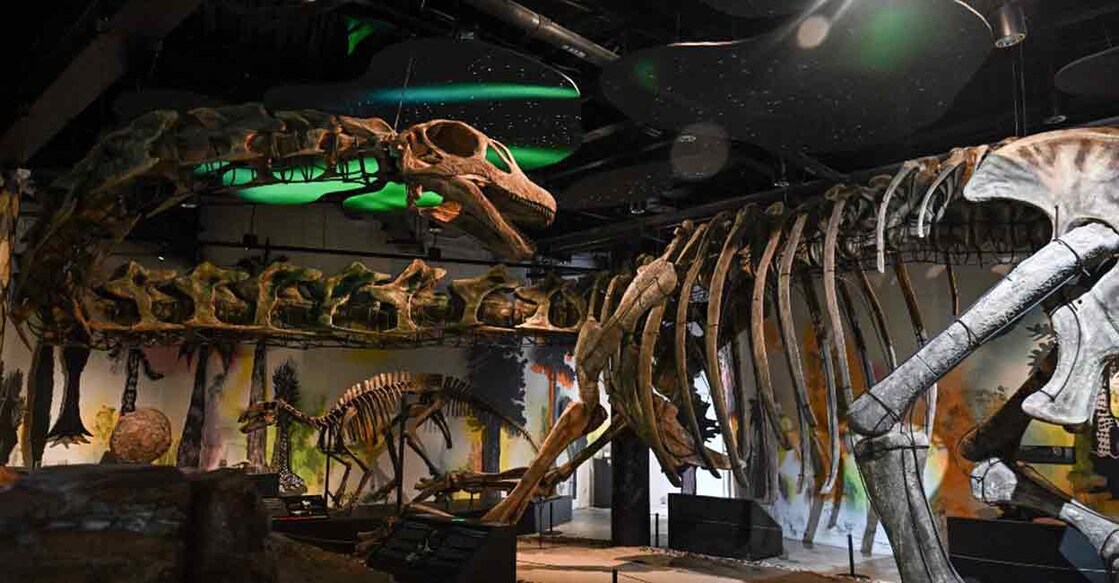 The dinosaur was identified from bones found at the edge of a pond in north-eastern Thailand 10 years ago. Photo: AFP