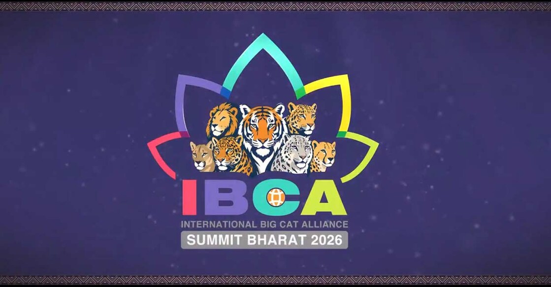 The theme of the Summit is ‘Save Big Cats, Save Humanity, Save Ecosystem’. Photo: X / @IBCA_official