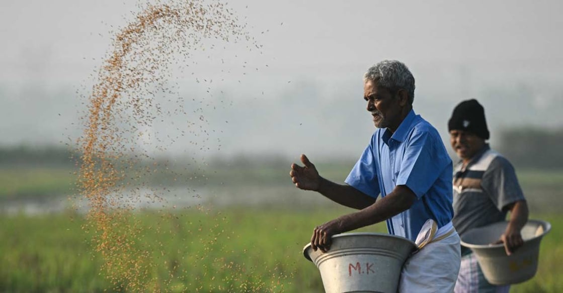 This standard introduces a comprehensive, structured management framework for community seed banks across the country. Representational Photo: AFP
