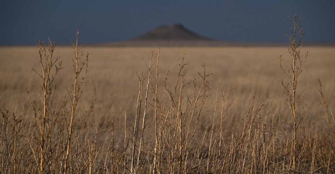Rangelands are among the world’s most extensive yet most overlooked ecosystems. Photo: AFP