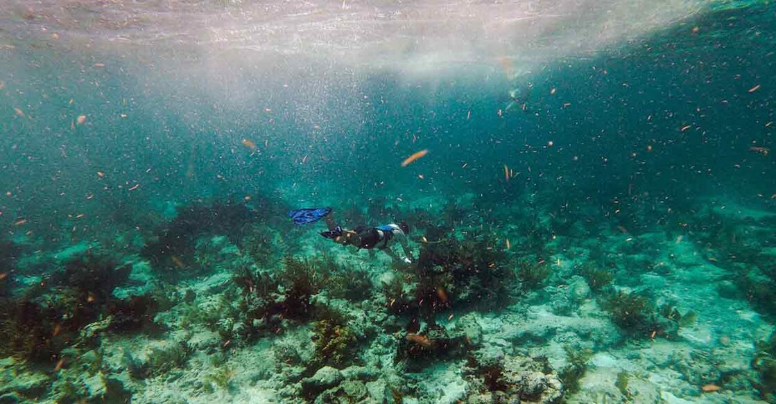 The ocean is central to reducing global greenhouse gas emissions and stabilising the Earth’s climate. Representational Photo: AFP