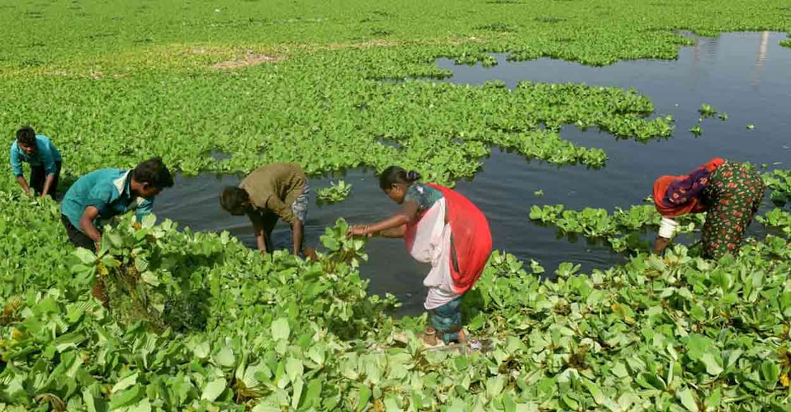 The Act enhances the statutory wage employment guarantee from 100 days to 125 days for every eligible rural household. Representational Photo: AFP