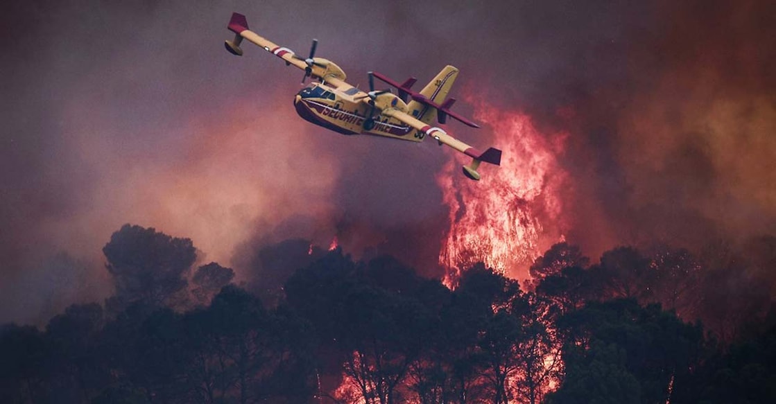 Although wildfires are often measured in the number of hectares burned, the human impact extends far beyond the forest edge. Representational Photo: AFP
