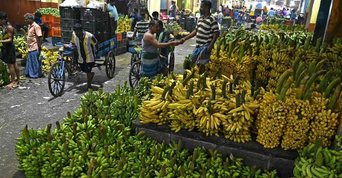 Each district is treated as a unit of export planning, not merely a unit of production. Representational Photo: AFP