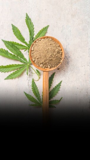 Hemp protein: Is it healthy?