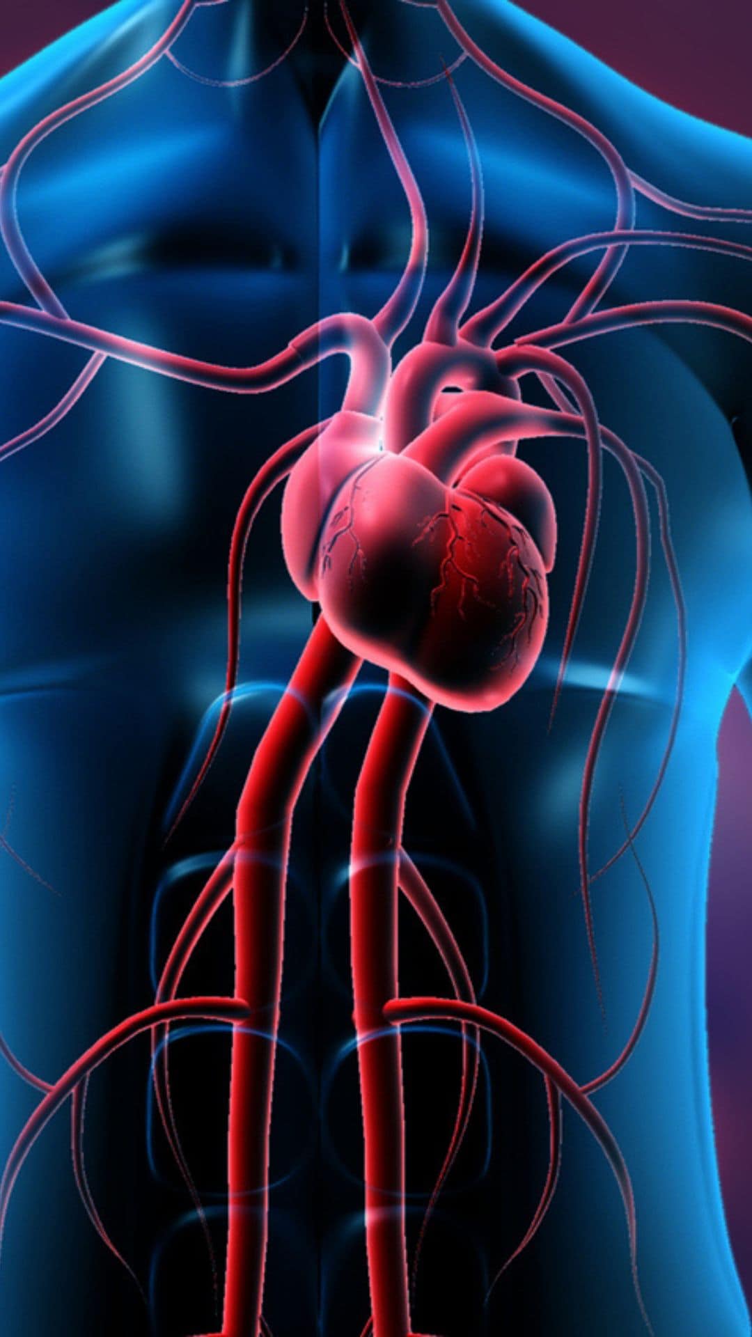 Most effective cardiac workout according to doctor 