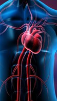 What's the best exercise for heart health?