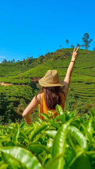 Munnar tourism gets a safety upgrade