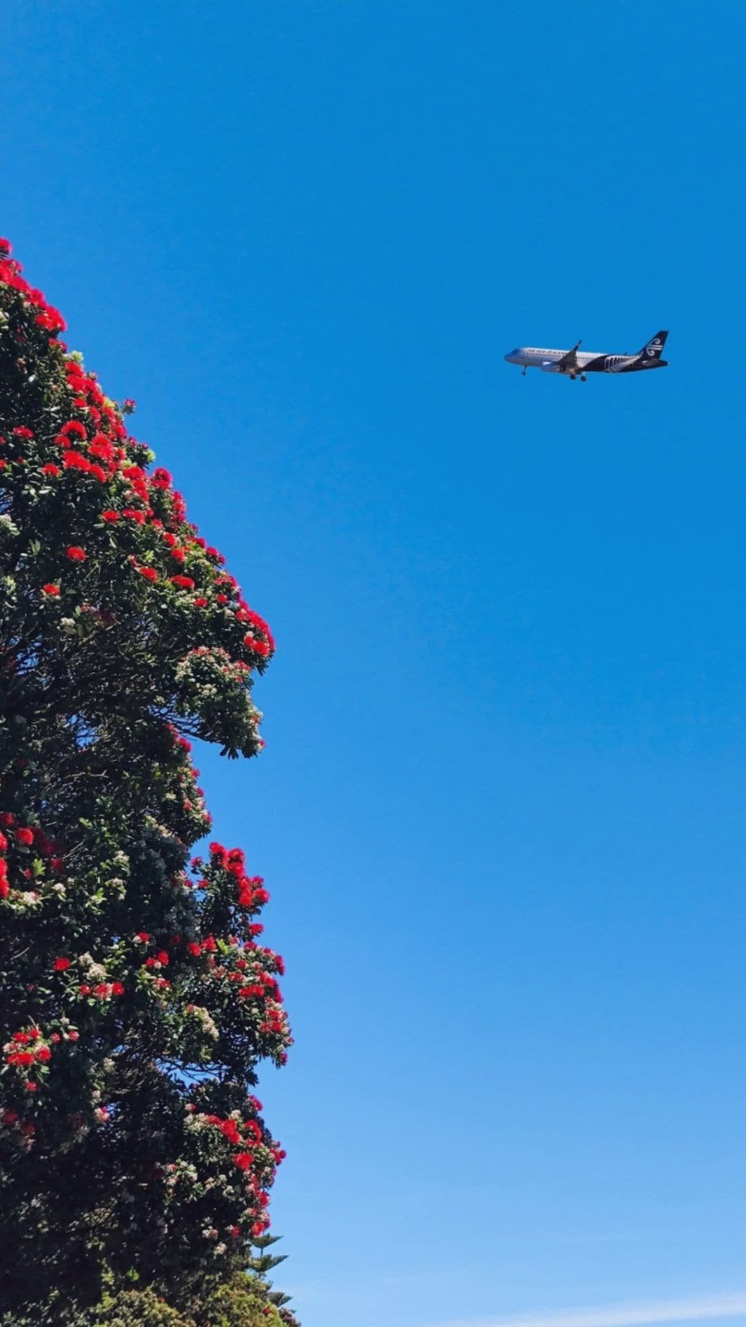 This airline is the safest: Here's why 