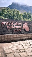 Munnar's Eravikulam National Park rated best in the country