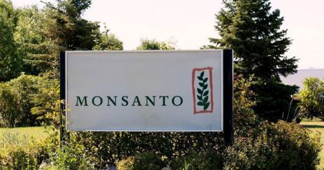 Monsanto