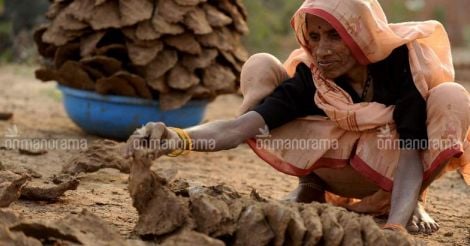 Rajasthan dairy farmers selling cow dung cakes on Amazon