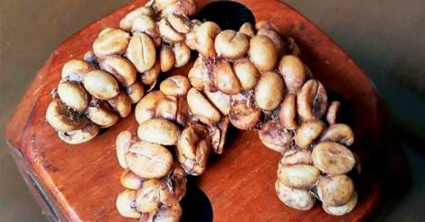 World's most expensive coffee, produced from civet cat poop, is now made in India