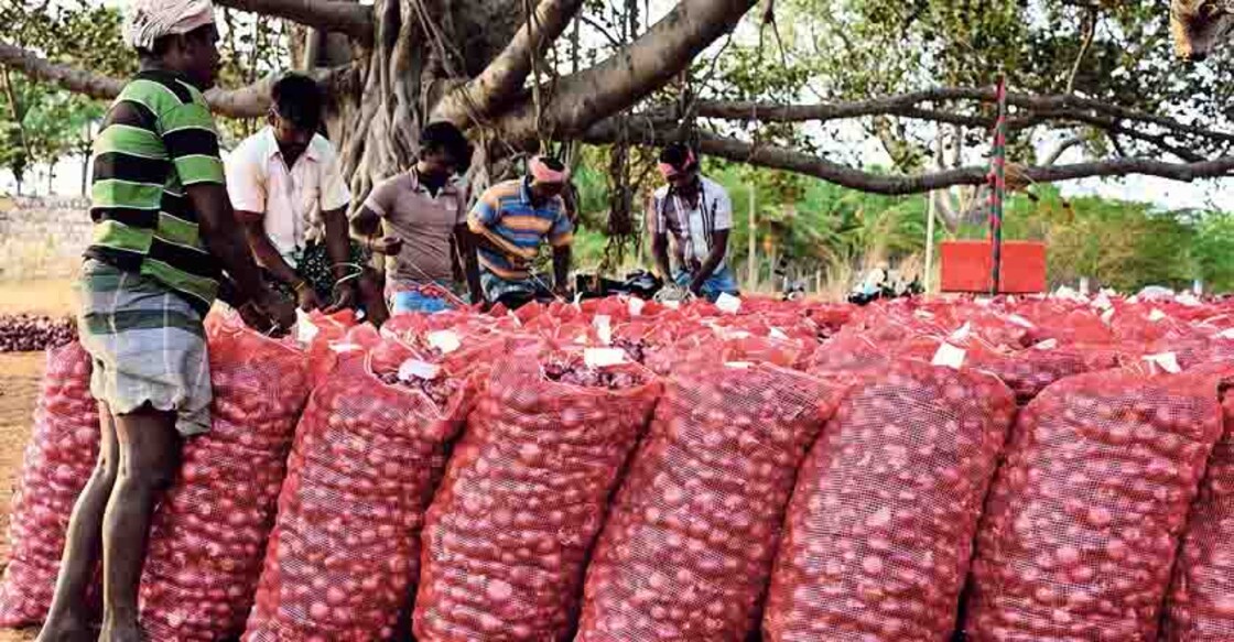 Household budgets strained as onion prices skyrocket in India