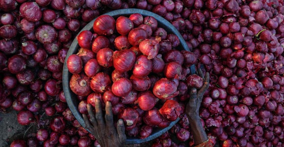 A woman sorts onions at a wholesale vegetable market, in Amritsar on Monday. Photo: PTI