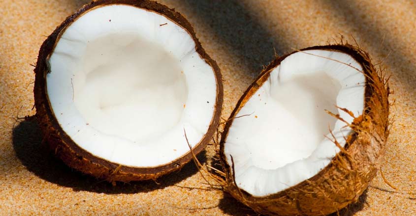 coconut coconut