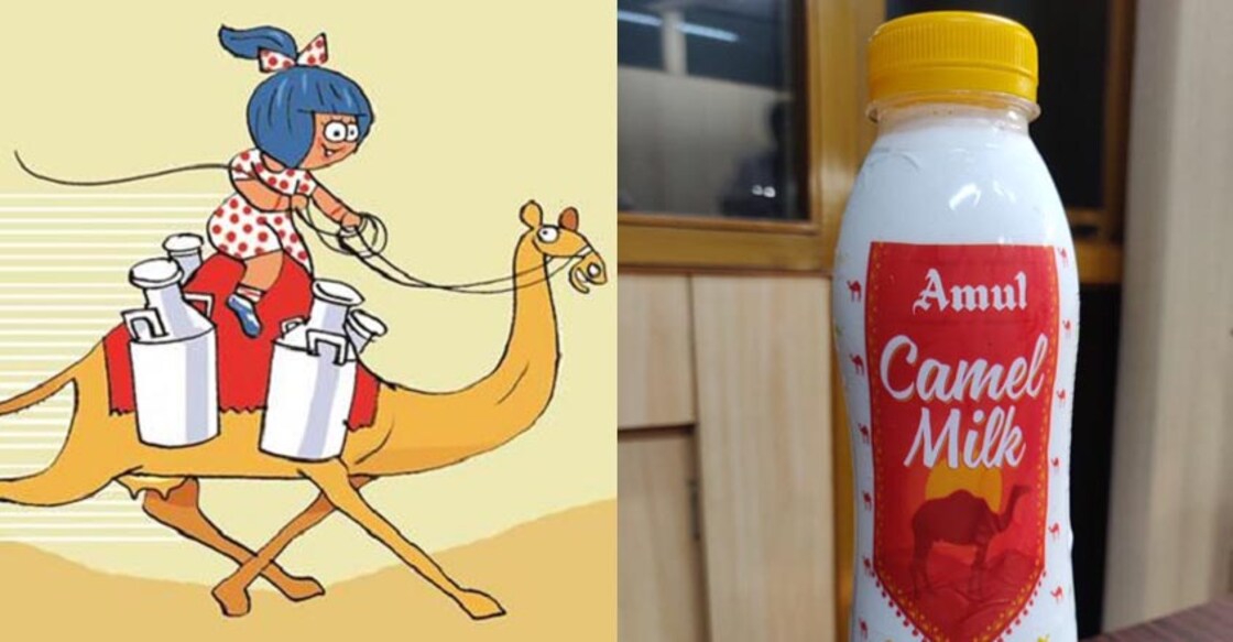 Amul to introduce camel milk in sizes of 200 ml pet bottles
