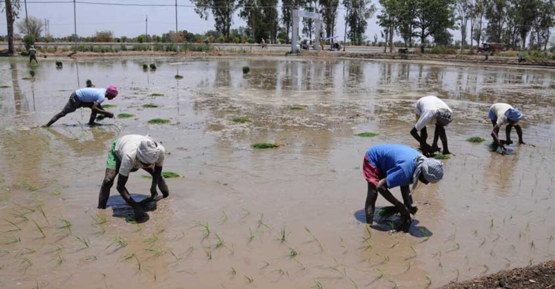 Kerala says no to farm laws, writes to Centre 