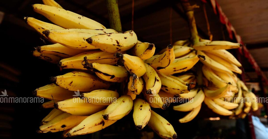 Kerala's very own 'Nendran' bananas will soon reach European markets