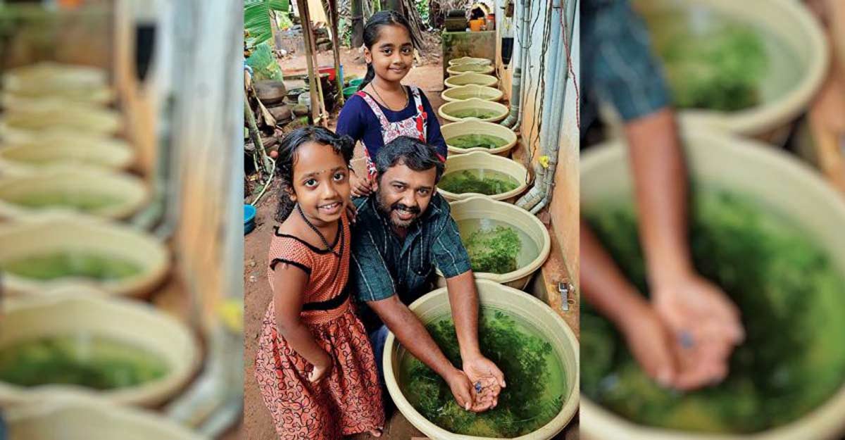 Carpenter affected by COVID crisis swims to good fortune with ornamental fish