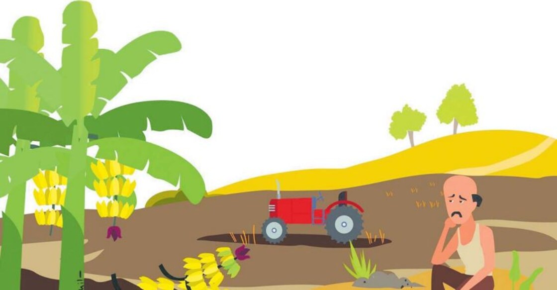 farmer-plight-agriculture