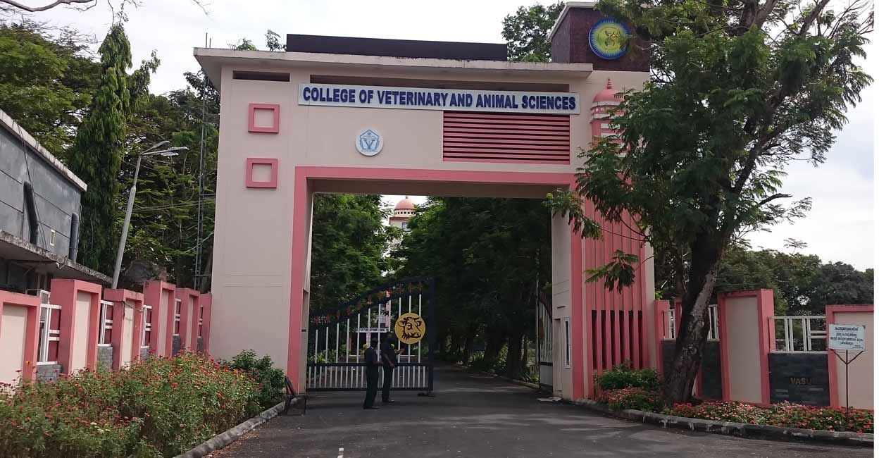 Apply now for various veterinary courses; last date August 25 | Career and  Campus | Onmanorama