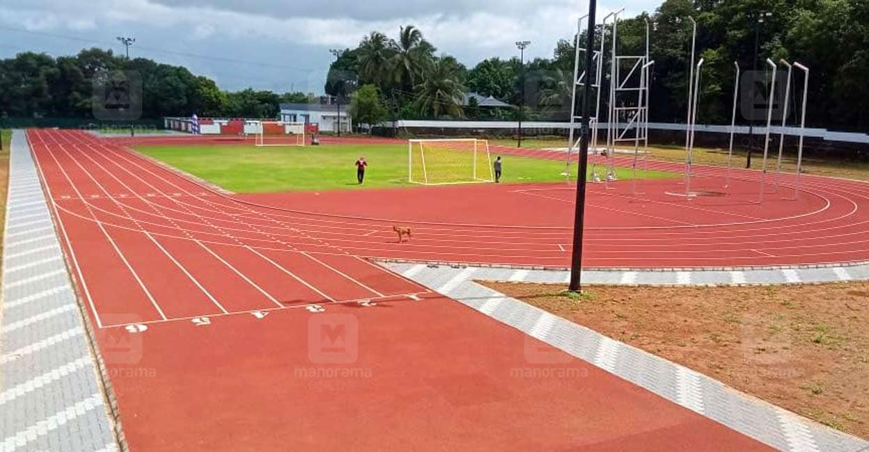 Parali-School-Turf-2 Parali-School-Turf-2