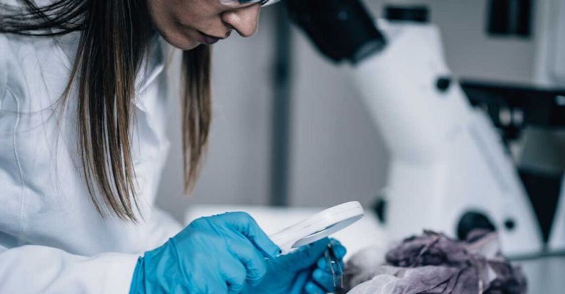 forensic-main Representational Image | Photo: Shutterstock