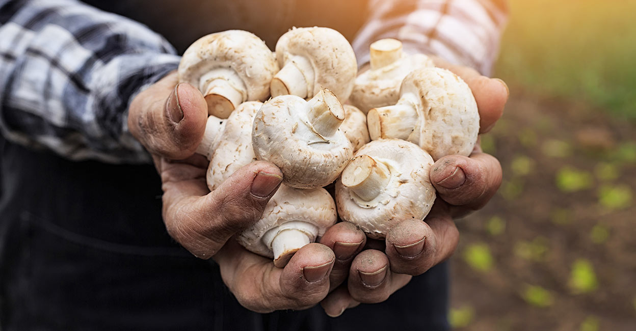 Representational Image. Photo: iStock/ valentinrussanov