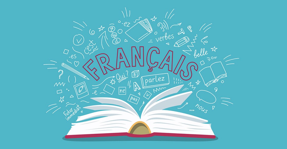french-studies-main Representational Image. Photo: iStock/ Natalie_