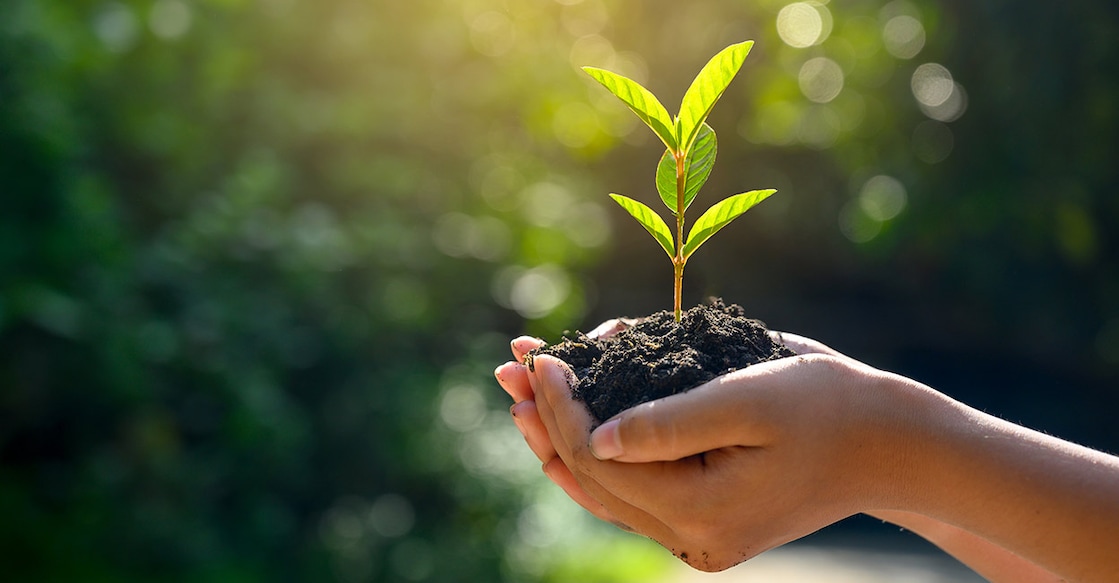 Representational Image. Photo: iStock/ sarayut