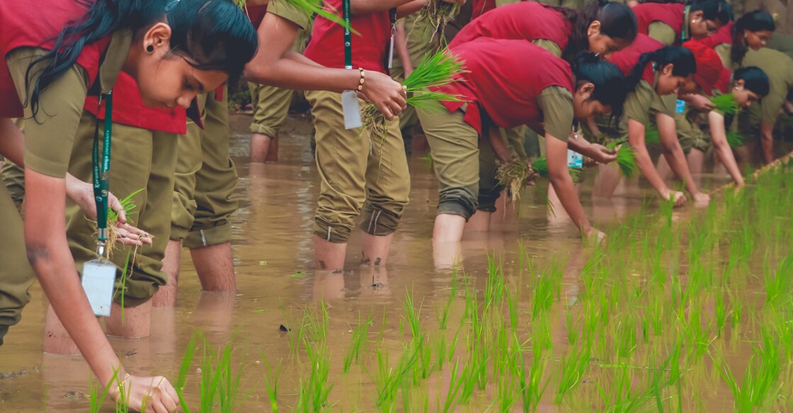 Photo: https://karunya.edu/agriculture