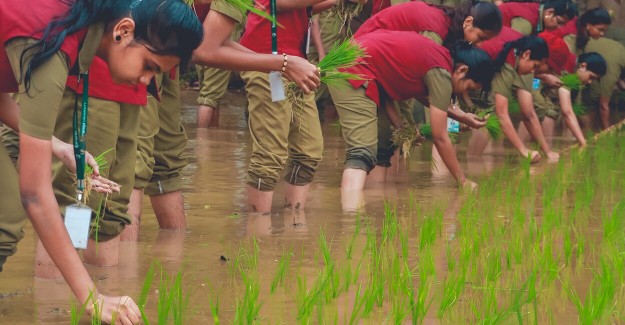 Photo: https://karunya.edu/agriculture