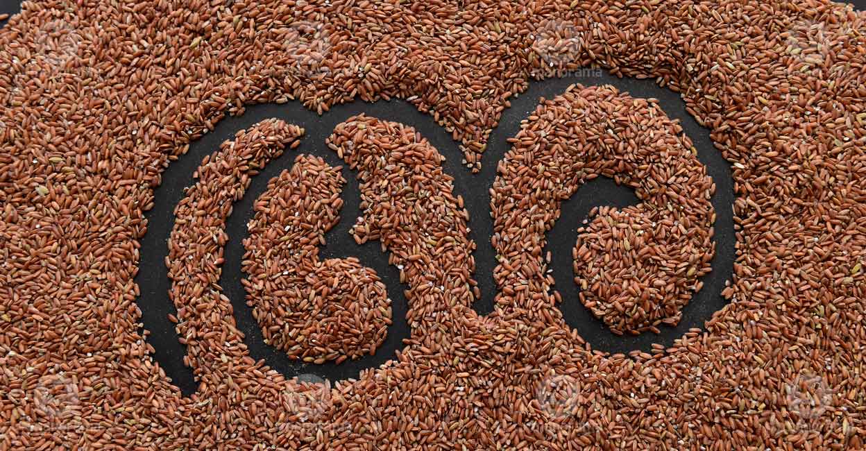 Photo: Malayala Manorama
