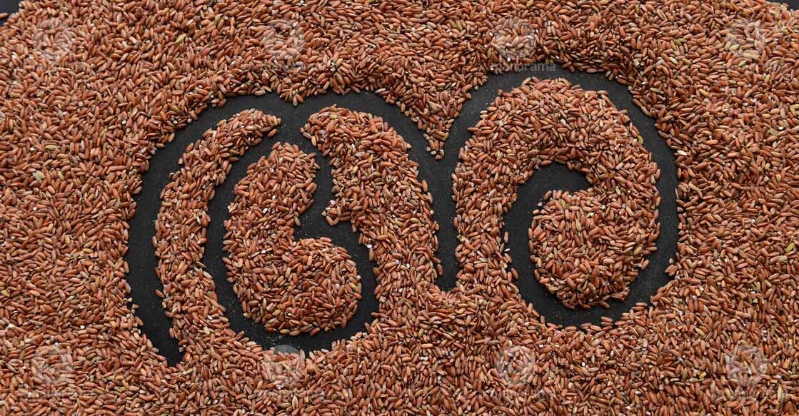 Photo: Malayala Manorama