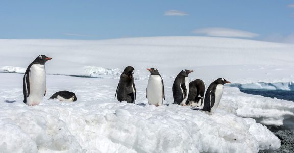 List of available Jobs - Vacancies - Careers - South Pole