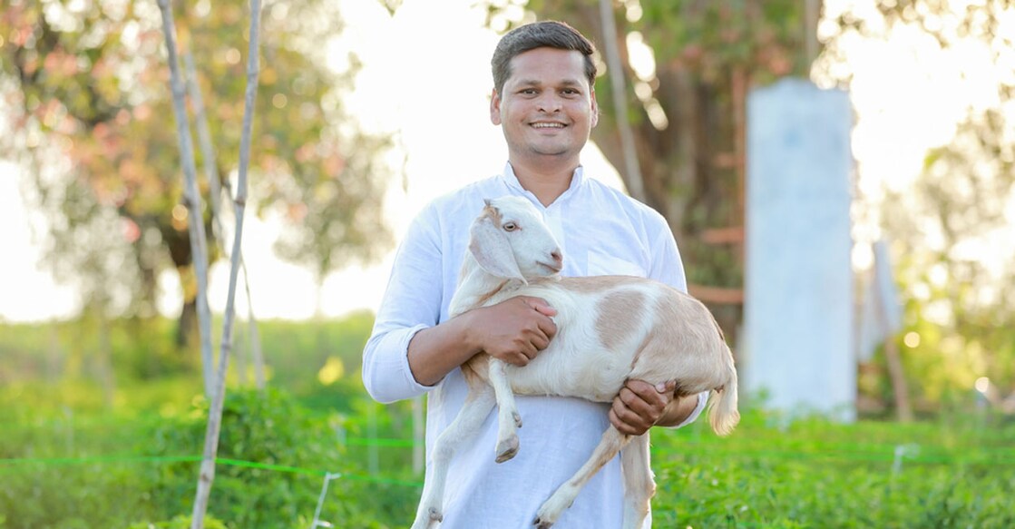 Representative image: Shutterstock/SDV Photography