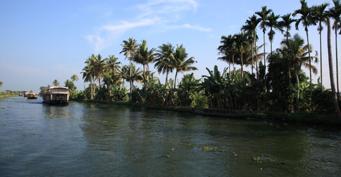 Vembanad slowly turning into a swamp: Experts